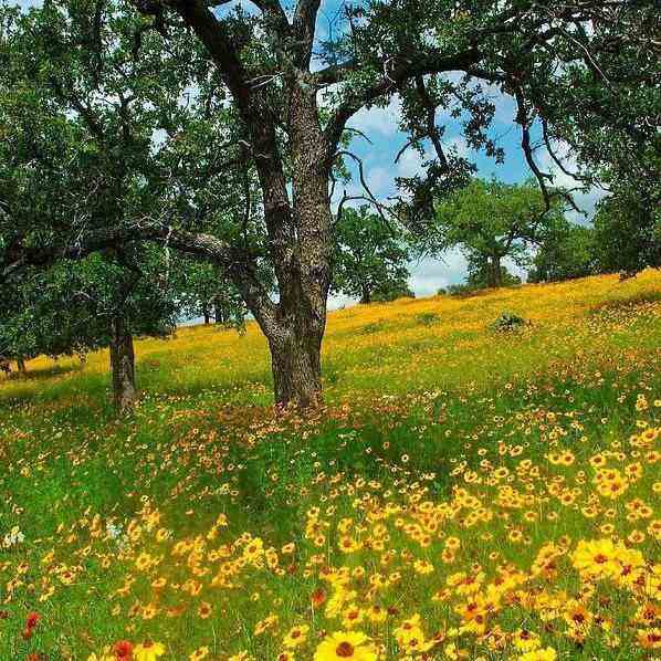 آهنگ جدید  حالا که دنیا خوبه با ما زیاد
